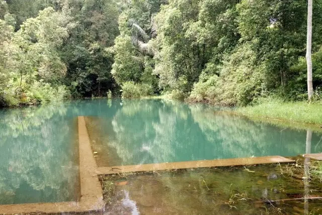 Danau Banaran Sukorejo